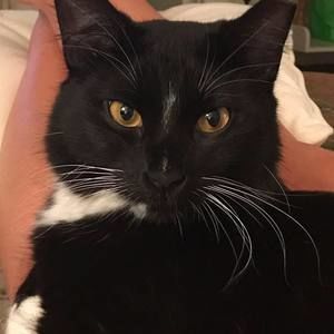 Meet your Posher, Shelley